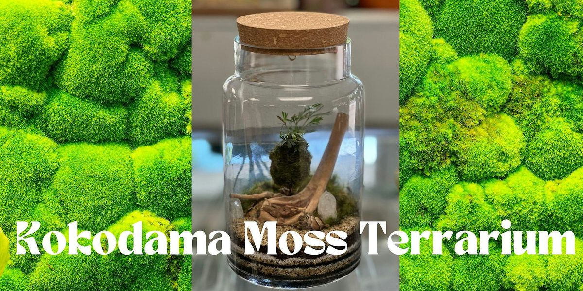 Kokodama Moss Terrarium