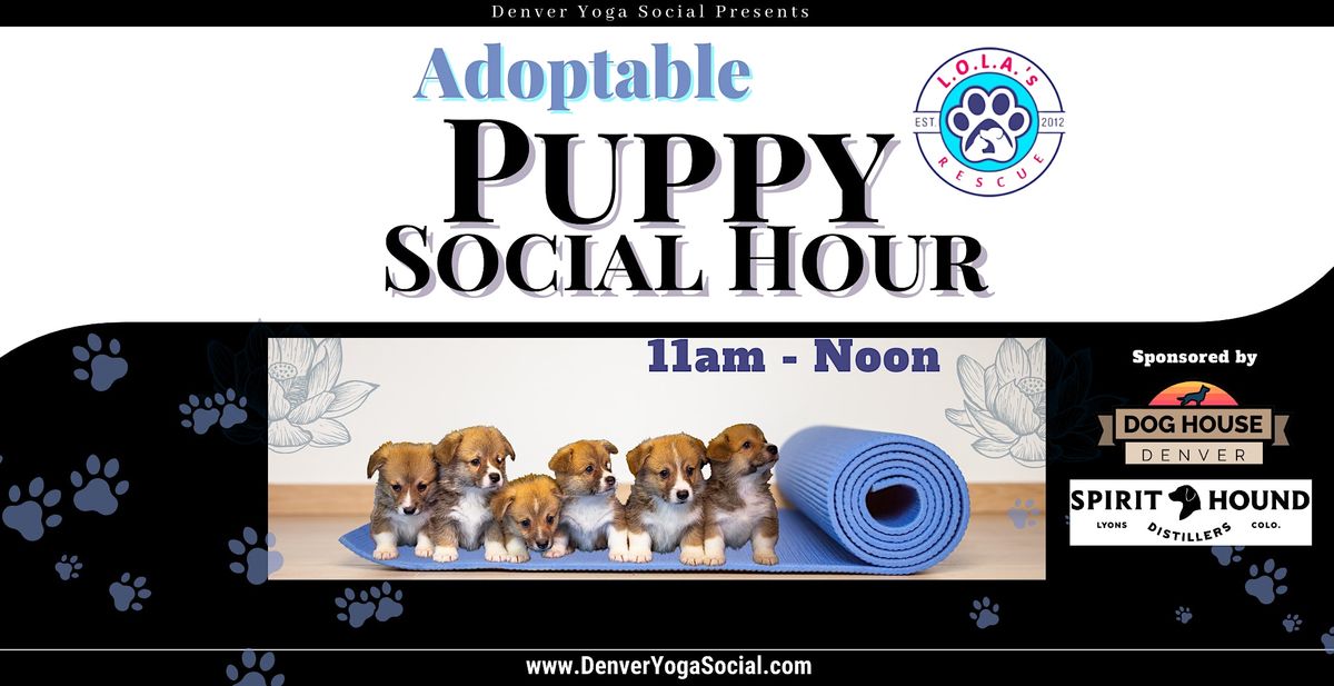 Adoptable Puppy Social Hour at Dog House Denver Sponsored by Spirit Hound