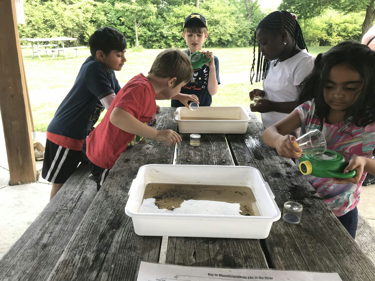 Bugtopia Tickets, Nankin Mills Interpretive Center, Westland, 20 July 2024