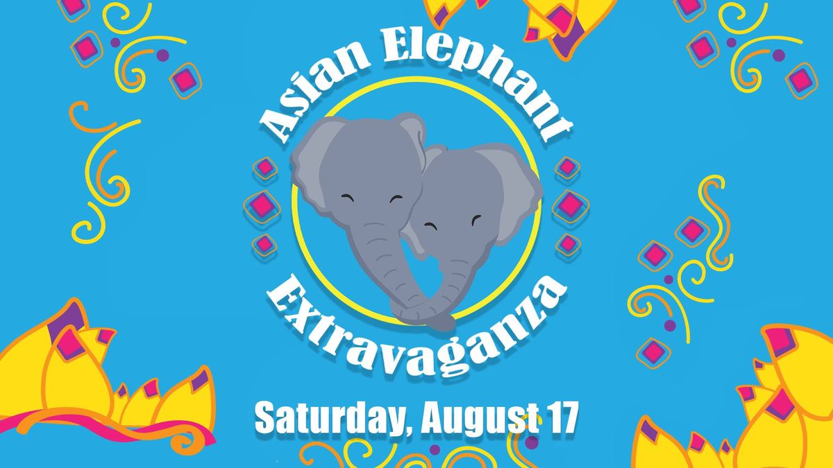 Asian Elephant Extravaganza!