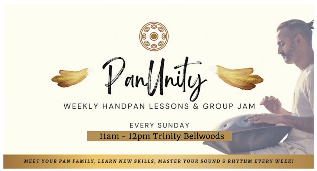 PanUnity: Weekly Outdoor Group Handpan Classes in Toronto