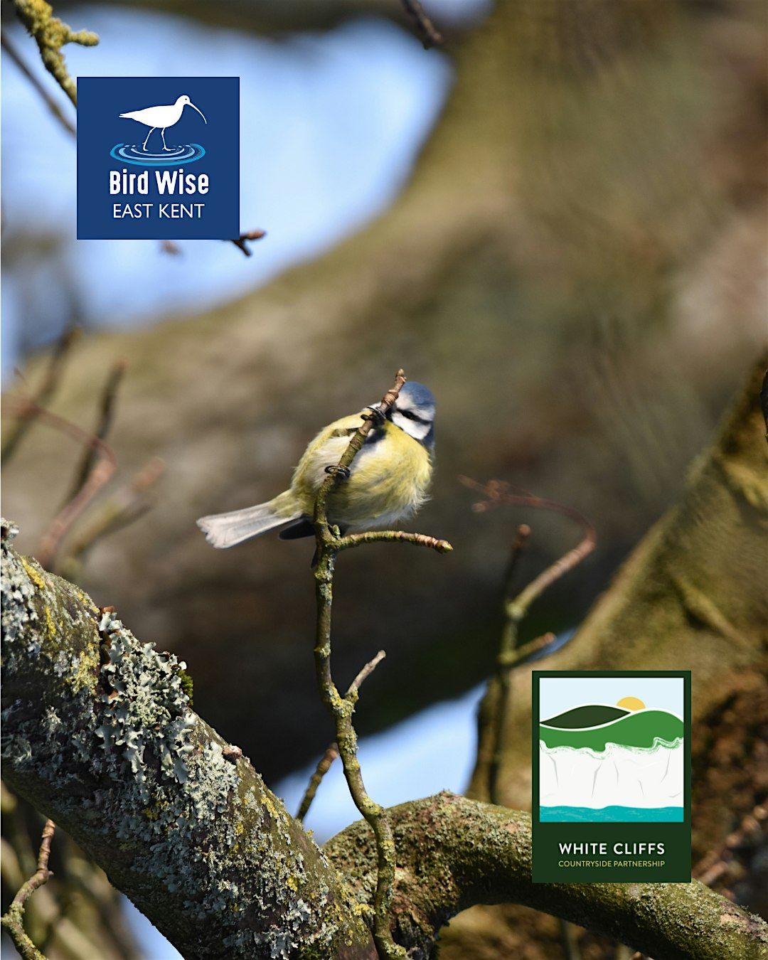 Betteshanger Guided Walk