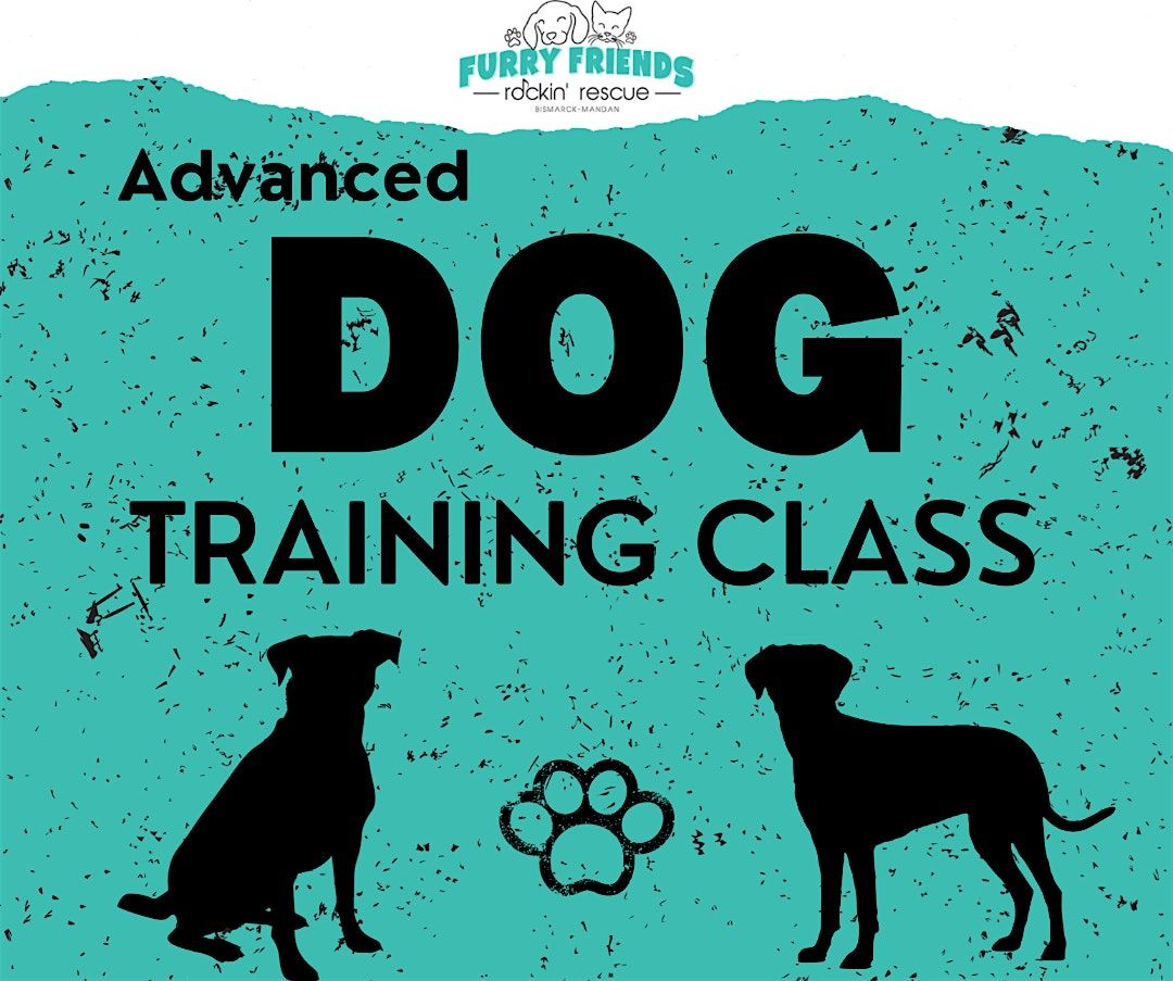 Advanced Training