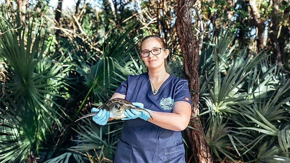 Turtle Talk in the Gardens