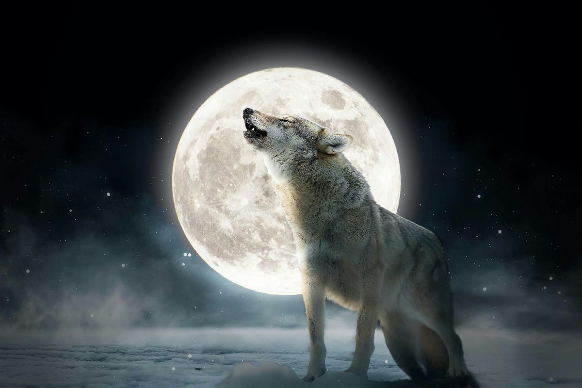 Wolf Full Moon Sound Bath Session By Donation