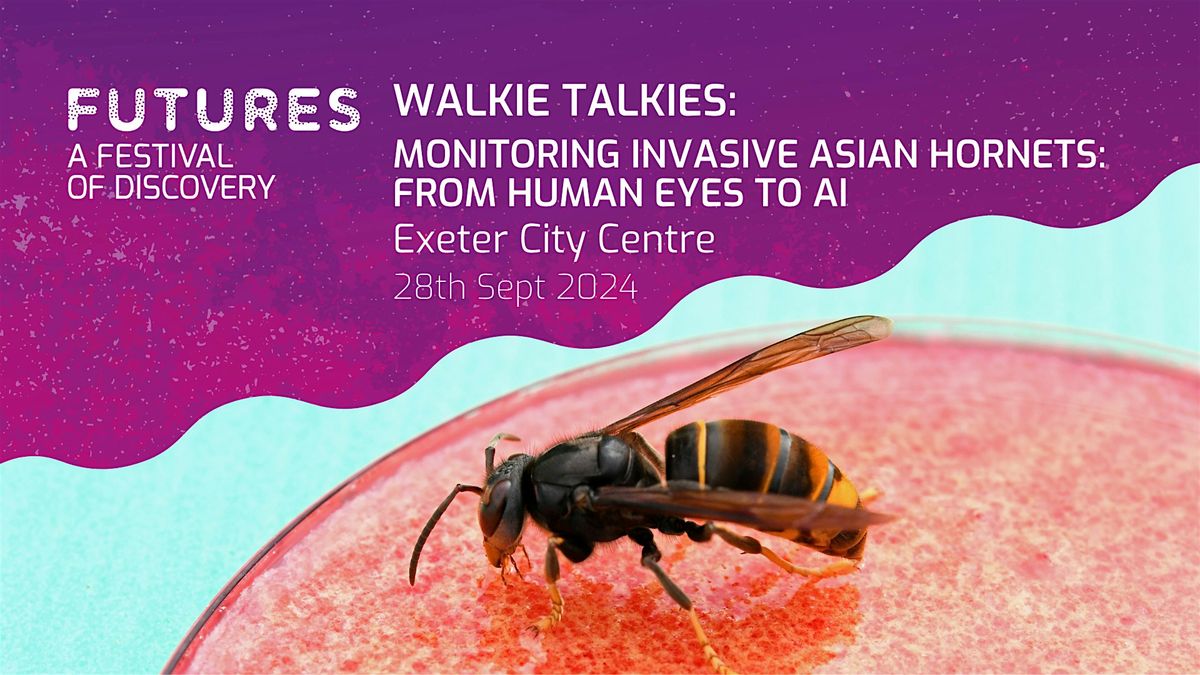 Walkie Talkies: Monitoring Invasive Asian Hornets: From Human Eyes to AI