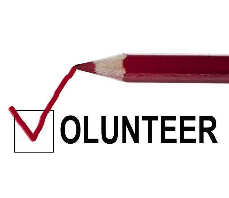 Volunteering - Level 2 Award - Online Course - Adult Learning