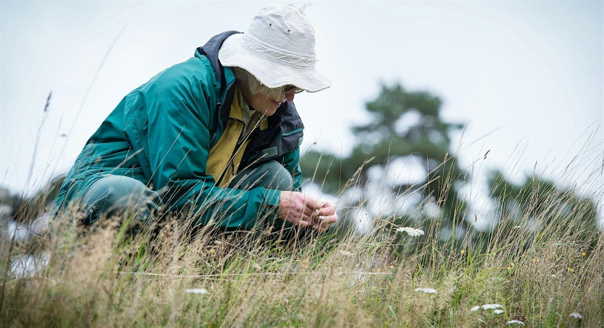 Invertebrate Surveying for adults - Woolley Firs, Wednesday 28 August