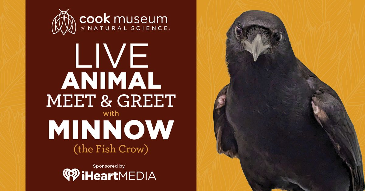 Live Animal Meet & Greet with Minnow (the Fish Crow)