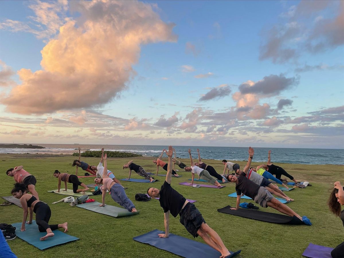 Sunset yoga and meditation in nature with an immersive musical experience