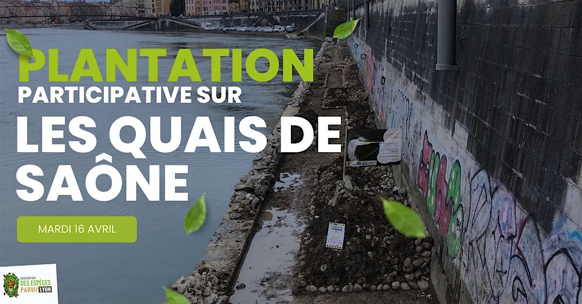 Chantier participatif de plantation sur les quais de Sa\u00f4ne