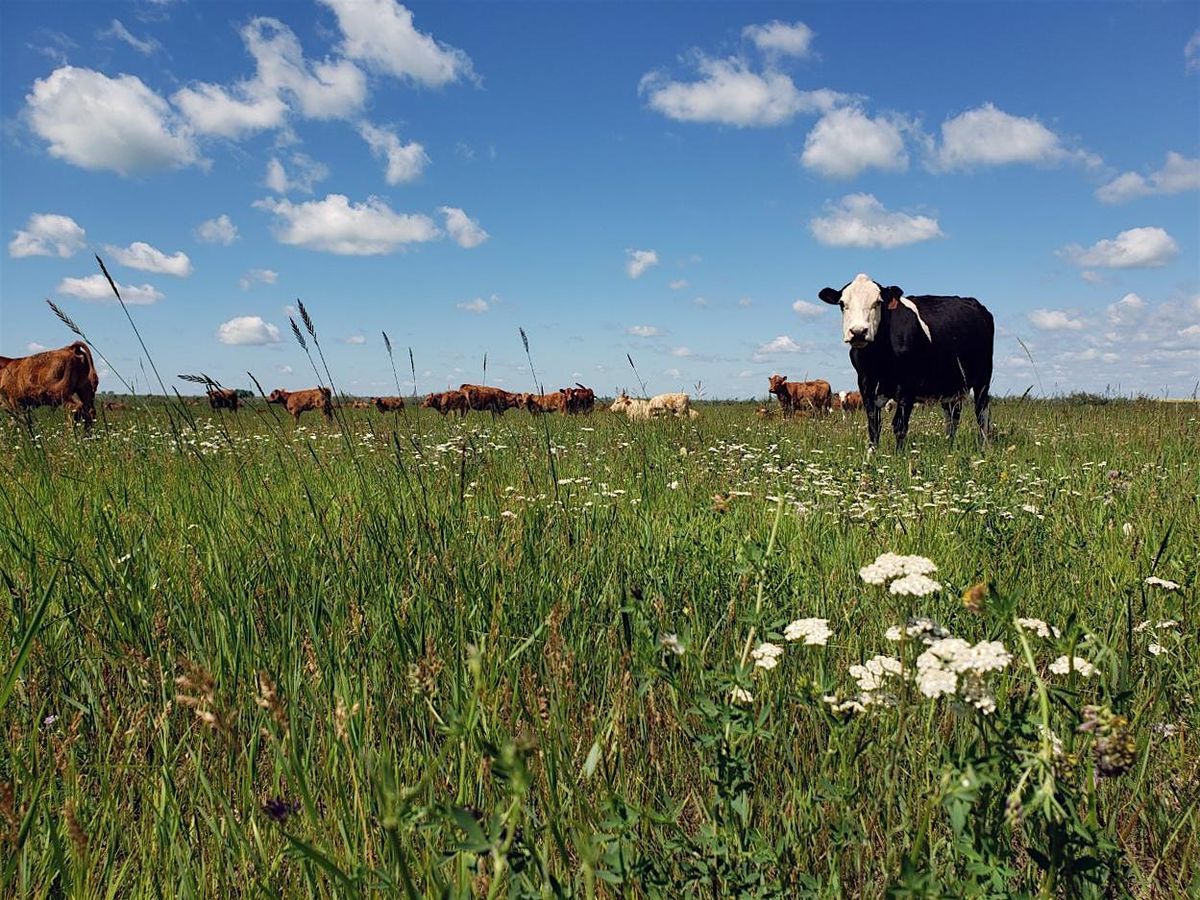 Foraging Into the Future 2024: Grazing Forward