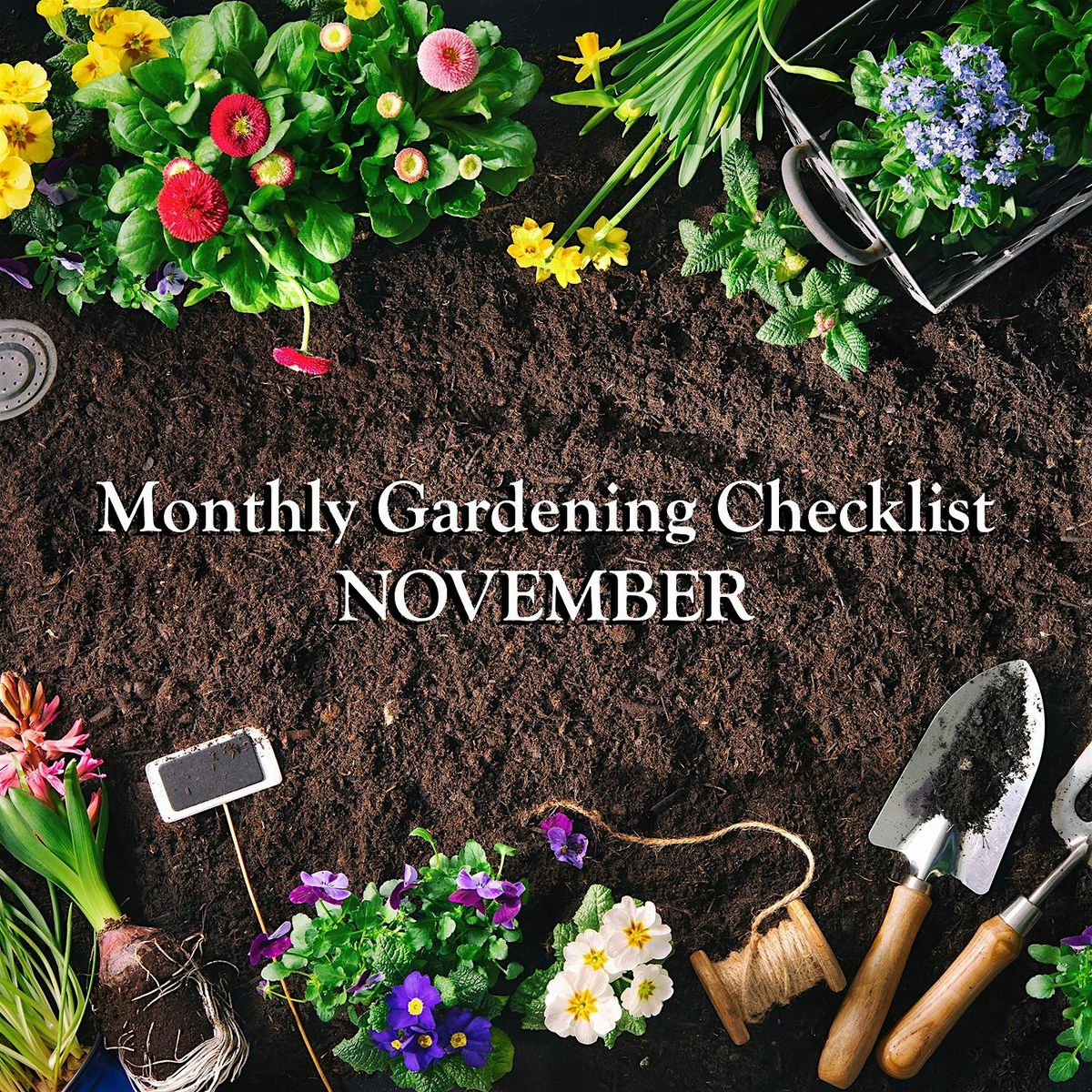 LIVE STREAM: Monthly Gardening Checklist for November with David