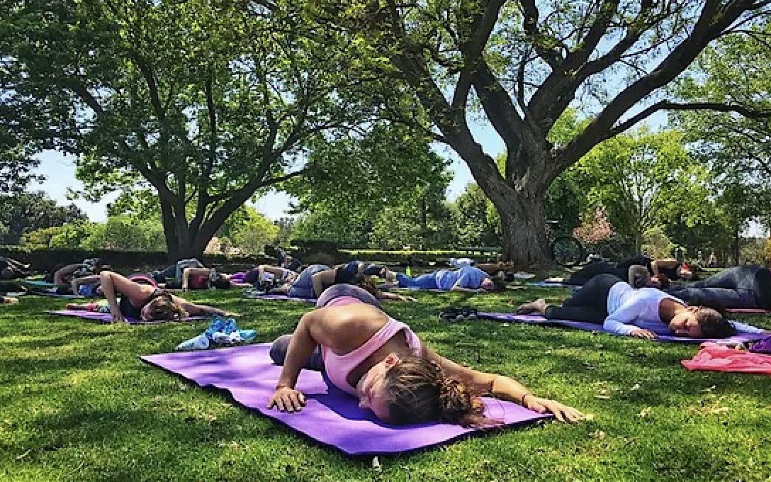 PARK YOGA and MEDITATION Evening outdoors in the freshness of summer! \u20ac10