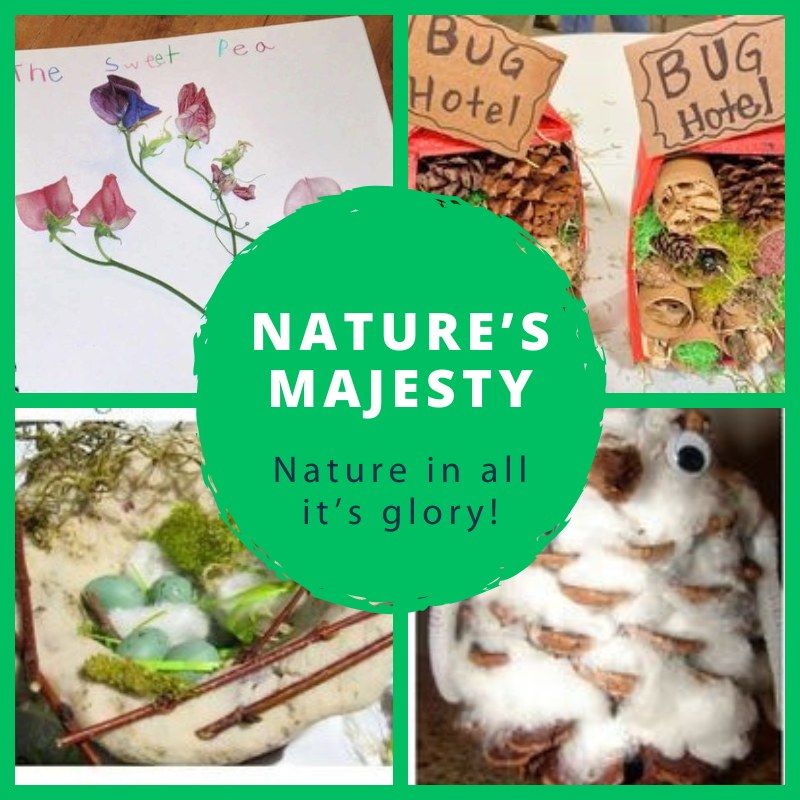 Kids' Summer Art Camp - Week 6 - Nature's Majesty