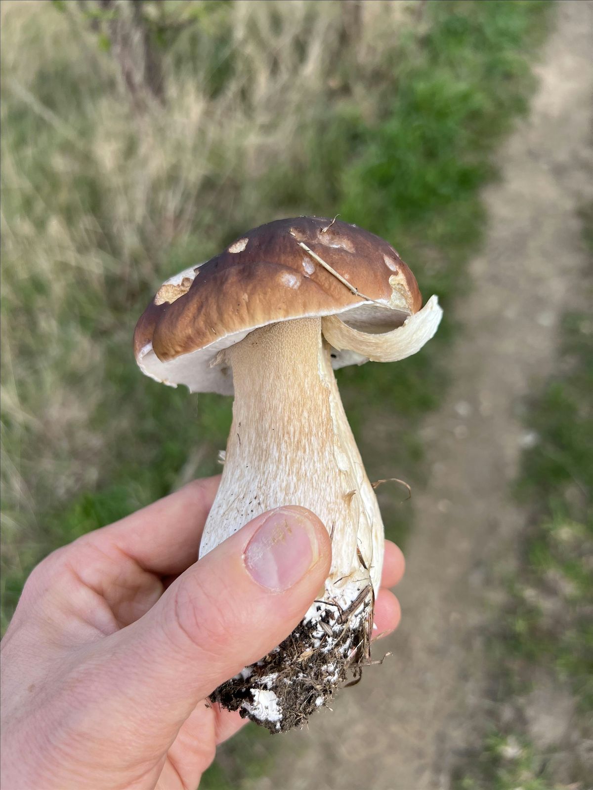 Introduction to Foraging Course, Northallerton