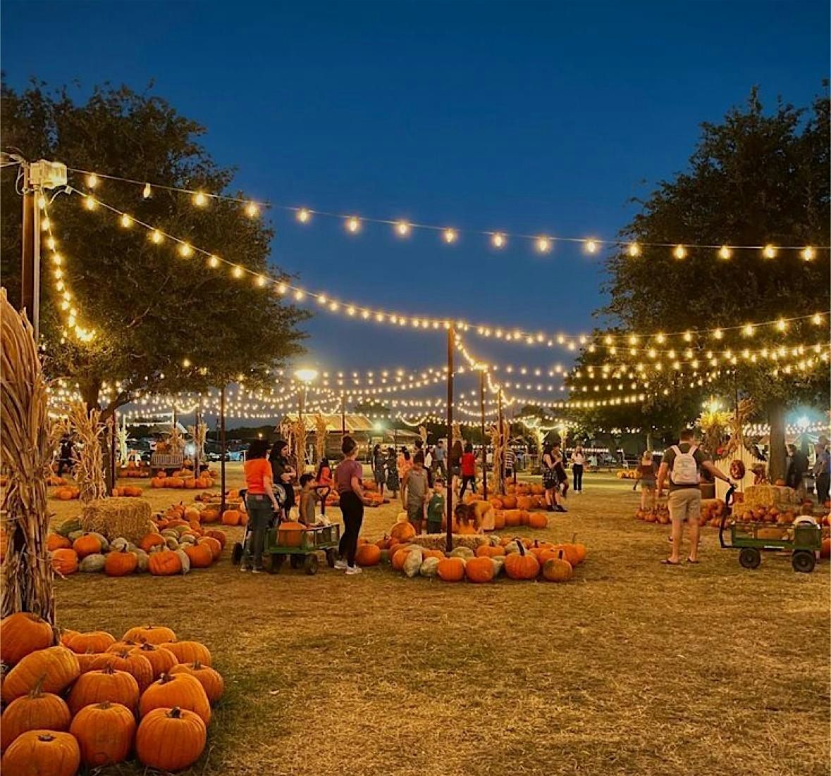 Elbow Park School Fall Fair