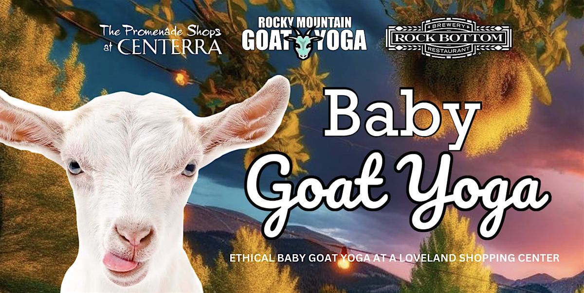 Baby Goat Yoga - October 27th  (SHOPS AT CENTERRA)