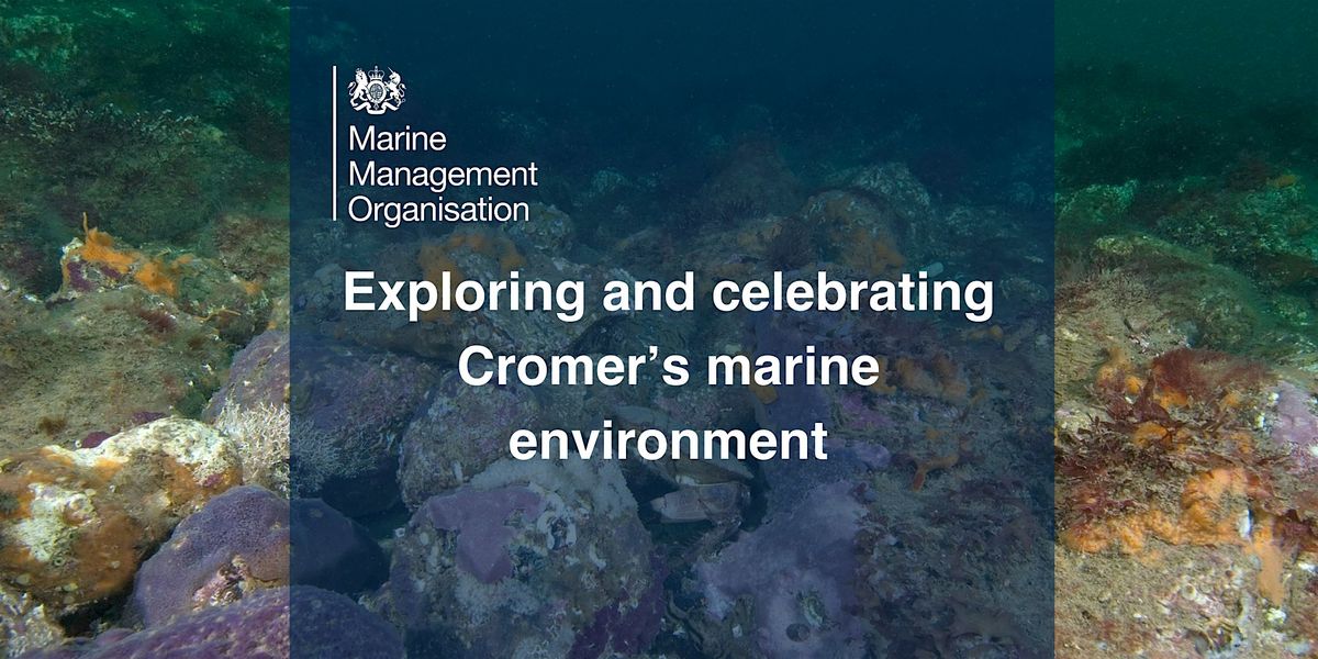 Exploring and celebrating Cromer's marine environment