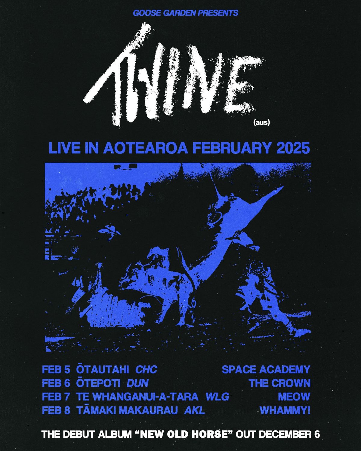 Twine (aus) Live In Aotearoa February 2025 (CHC)