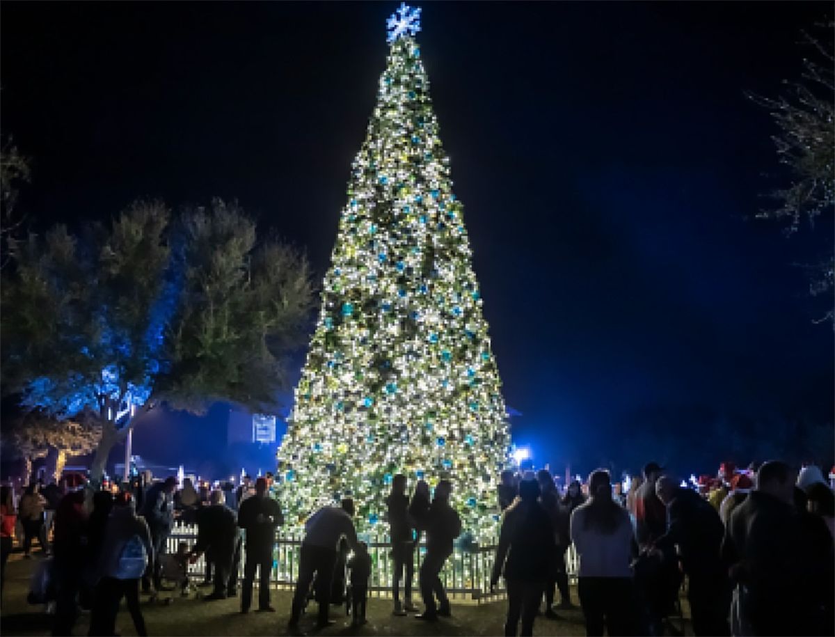 FREE CONCERT-Christmas Tree Lighting 