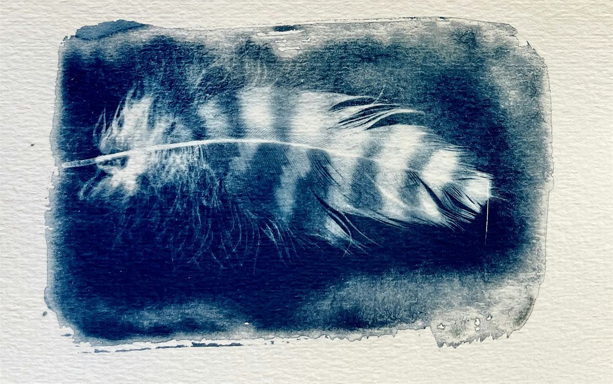 Blueprints of Nature: A Cyanotype Printing Workshop