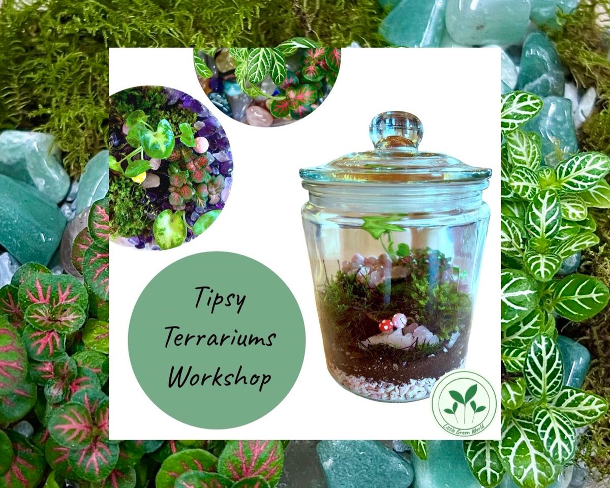 Tipsy Terrariums Workshop