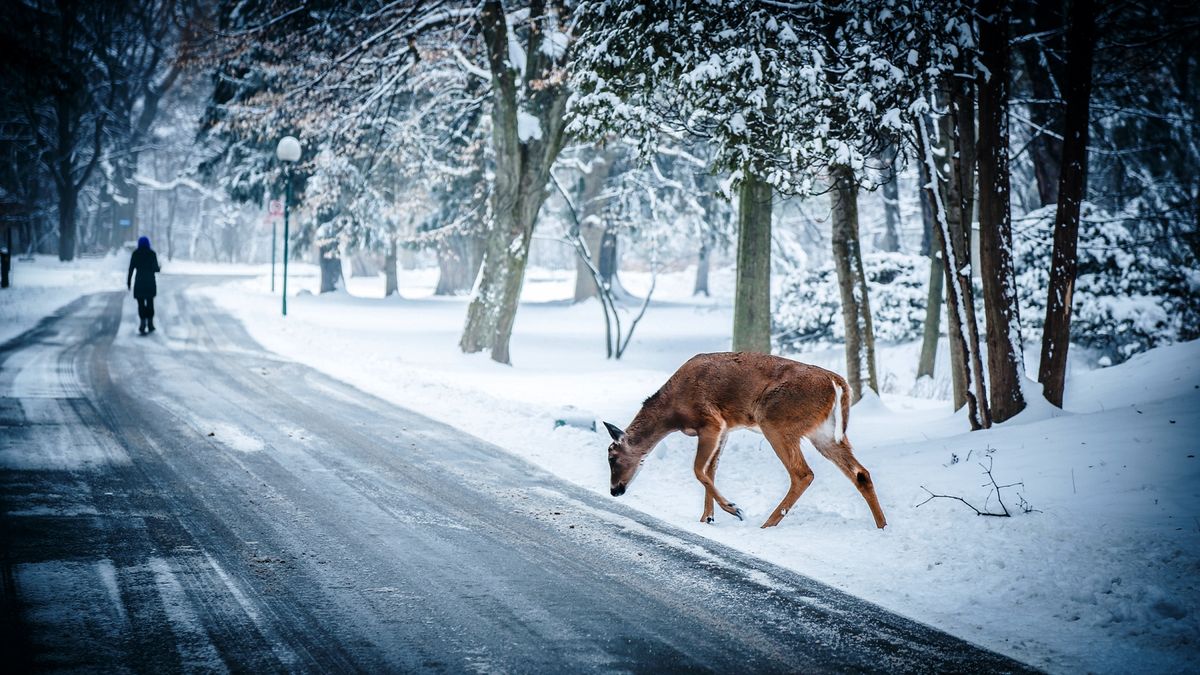 Four Days of Writing Proficiency: A Winter Writing Retreat