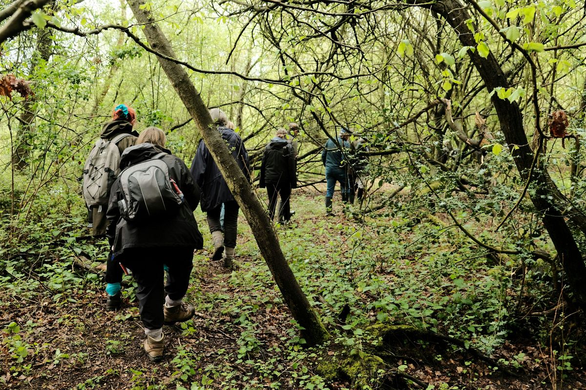 NWT Sweet Briar Marshes: Walk with the warden