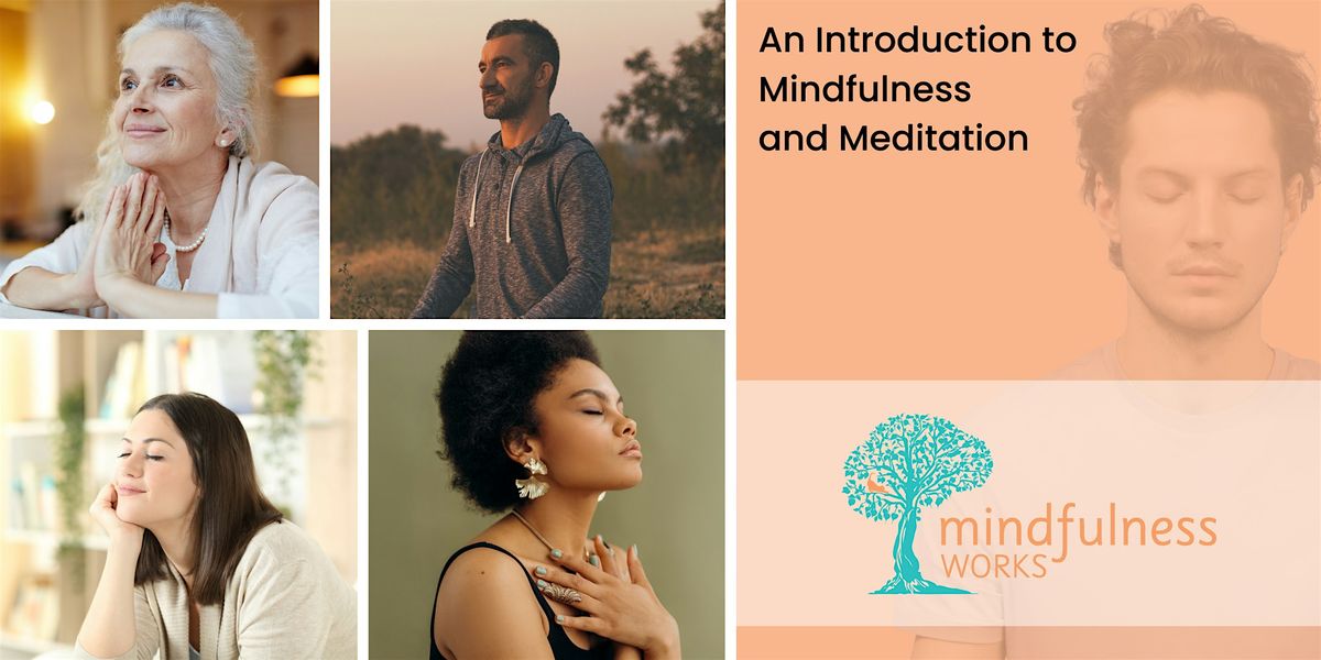 An Introduction to Mindfulness and Meditation 4-Week Course \u2014 Porirua