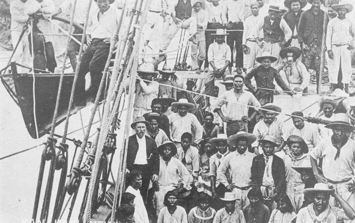 South Sea Islanders in Queensland: tracing family history