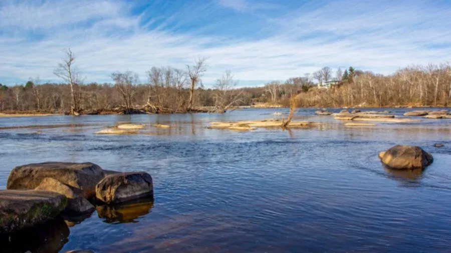 Nov 5, 10 AM ~ Pony Pasture Loop