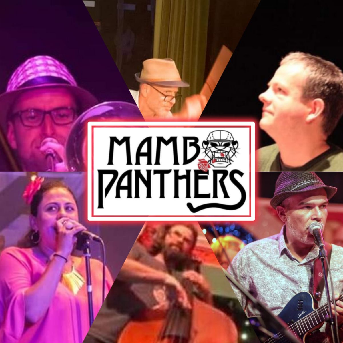 Mambo Panthers @ The Harcourt Arms