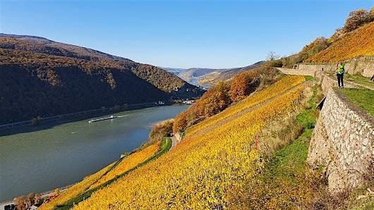 Sa,30.11.24 Wanderdate  Miltenberg und Miltenburg  f\u00fcr 35-55J