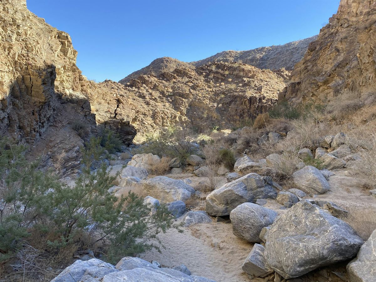 Carrizo Canyon Interpretative Hike