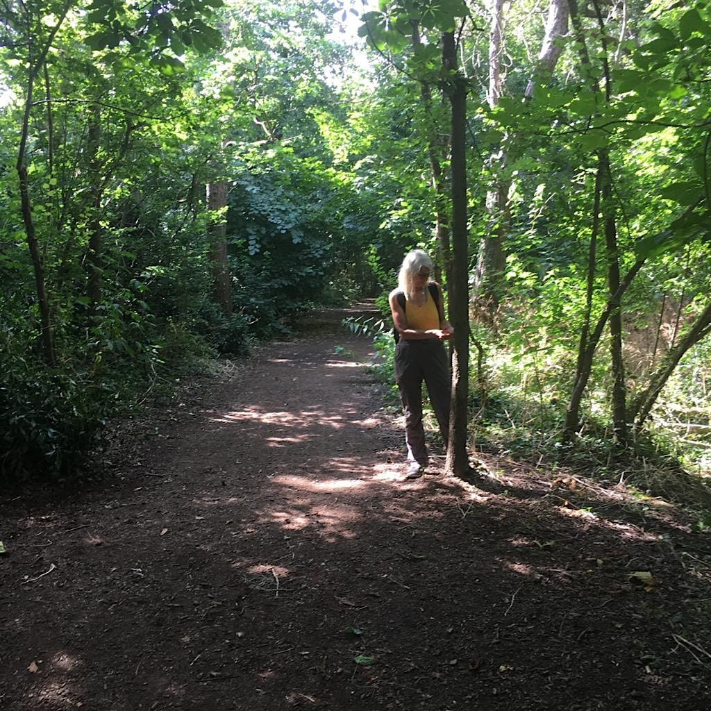 Forest Bathing at Cannon Hill Common, London SW20