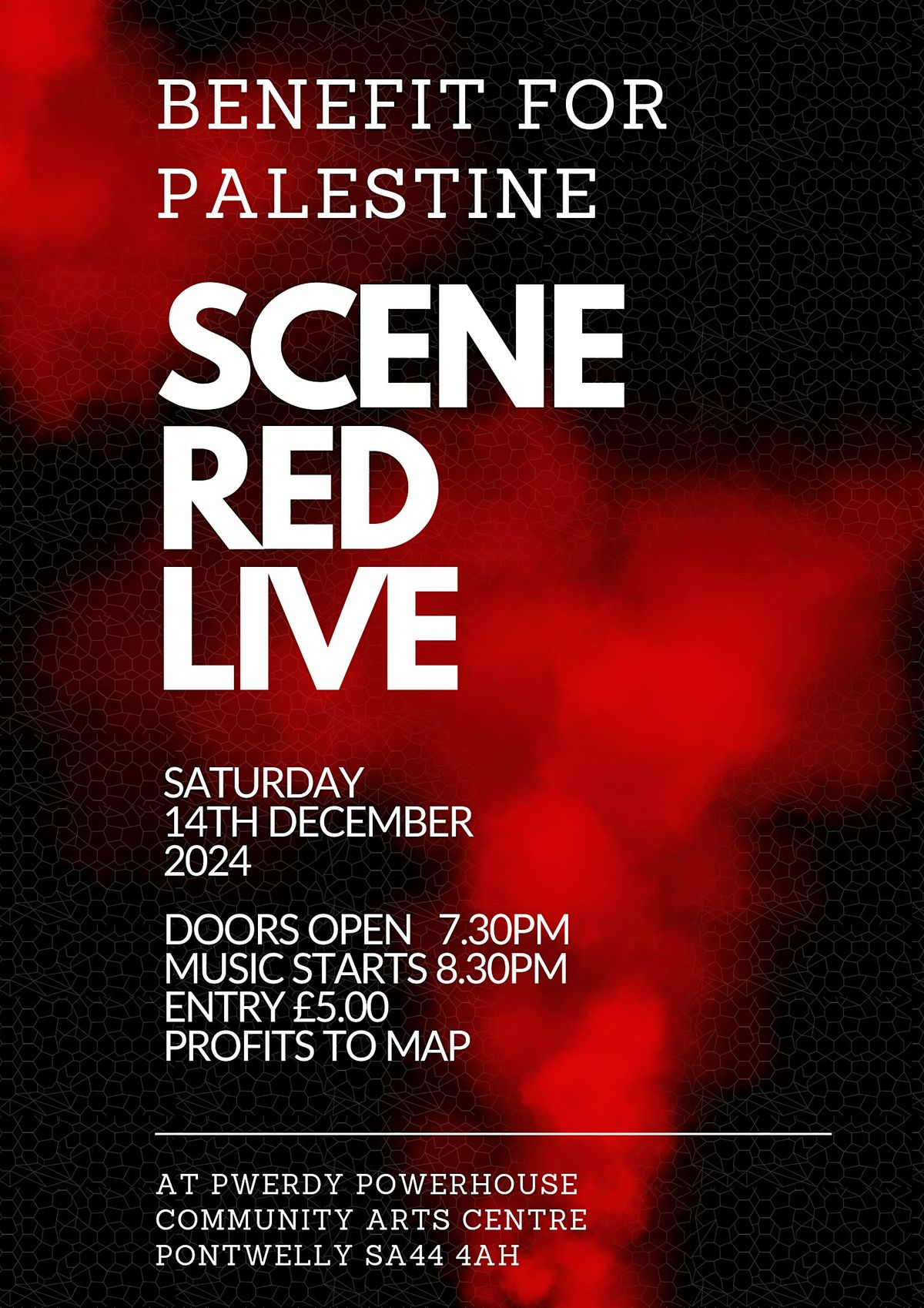 SCENE RED Live Benefit For Palestine