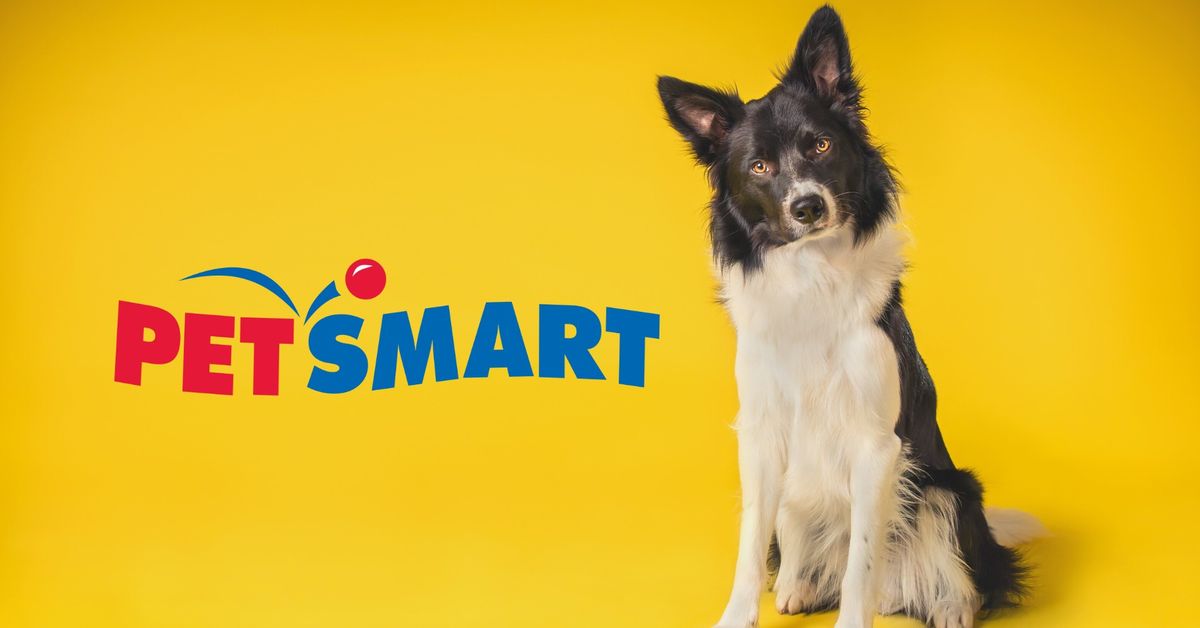 PetSmart Adoption Event at Montgomery Plaza