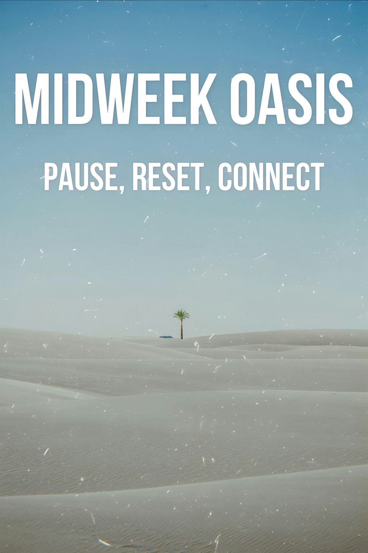 Mid-Week Oasis
