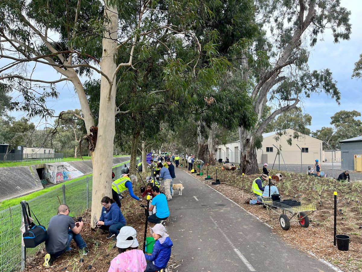 World Environment Day - Sturt River Linear Park Trail