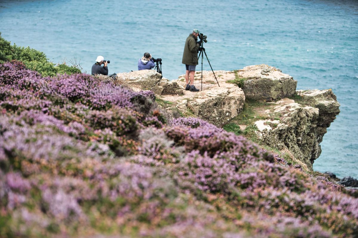 St Ives Public Seaquest Seawatch