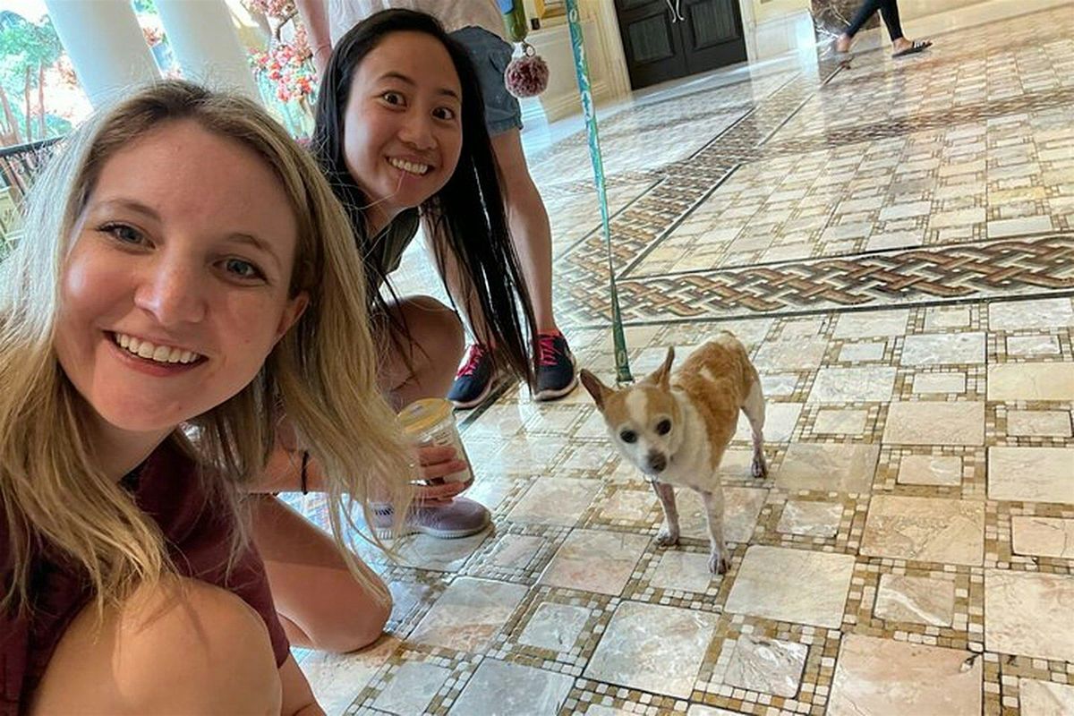 Enchanting Edenton  Scavenger Hunt