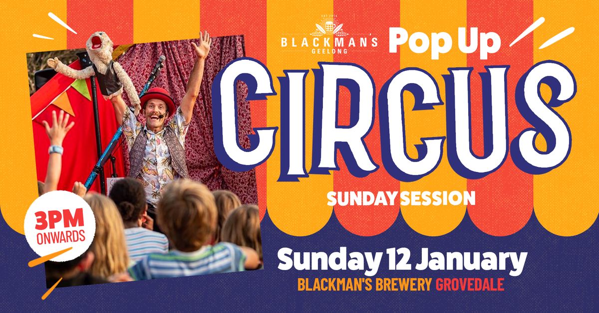 Pop Up Circus & Puppet Show