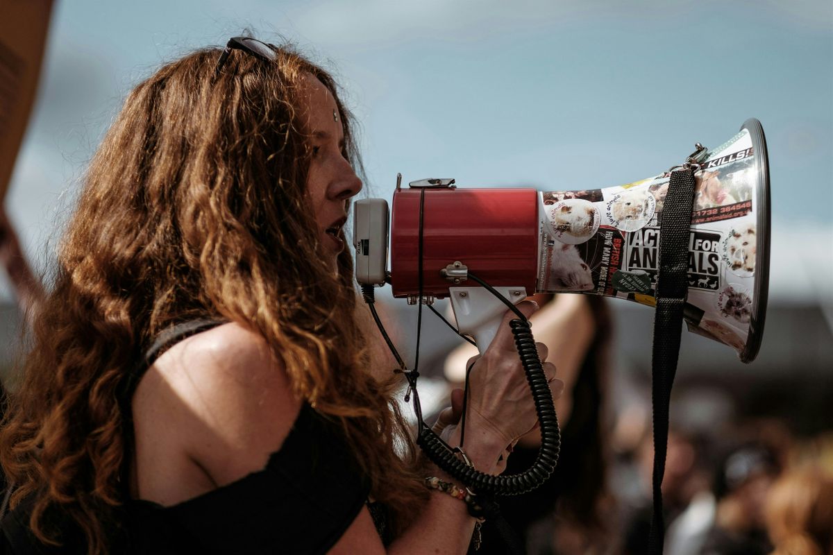 Mobilise  - Lessons from the Activist\u2019s Handbook