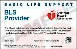 BLS eCards - LHN CPR Instructors only