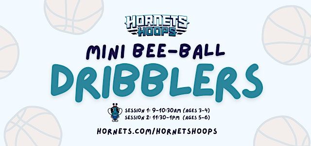 Hornets Hoops Mini-Bee Ball Dribblers Clinic