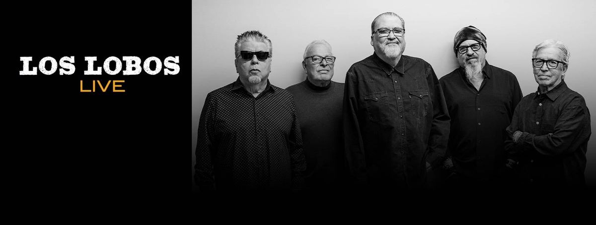 Ritmo Dance Studio: End Of Year Showcase