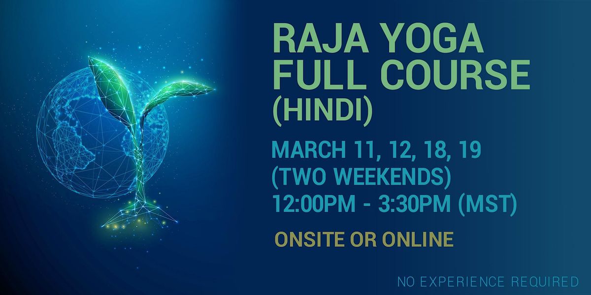 Meet The Royal Family Of Mushrooms An Intro To The Healing Properties