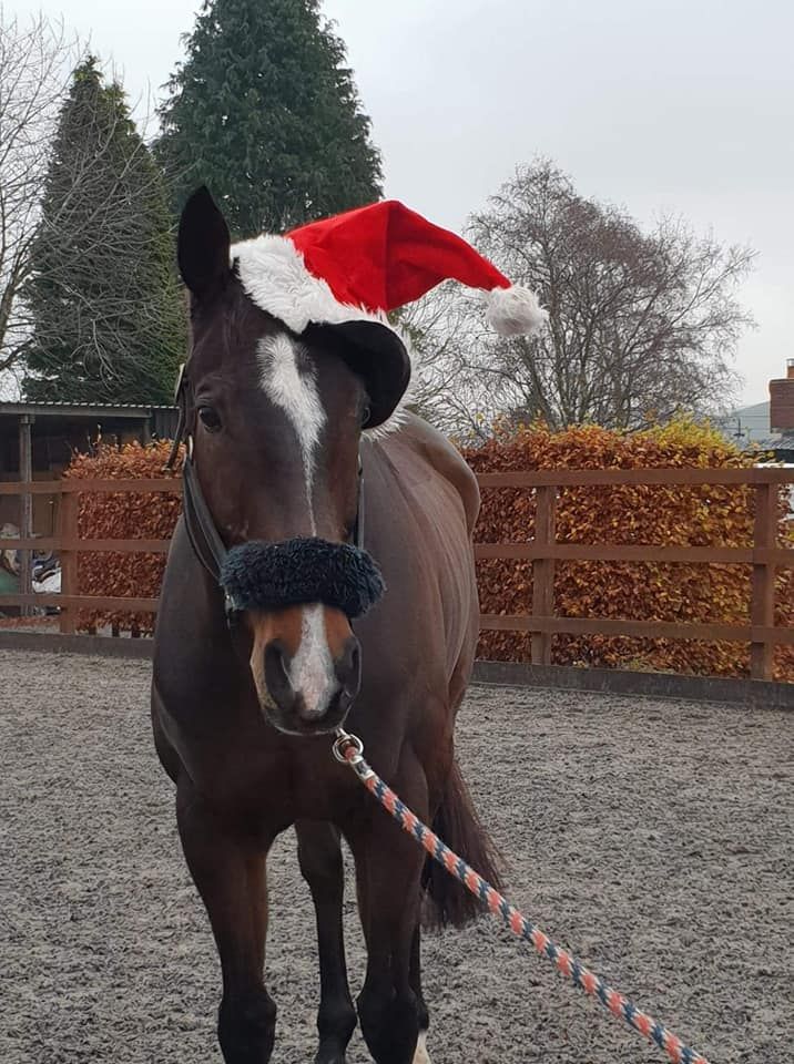 SMS Xmas handy pony kindly sponsored by Leah and Andrew