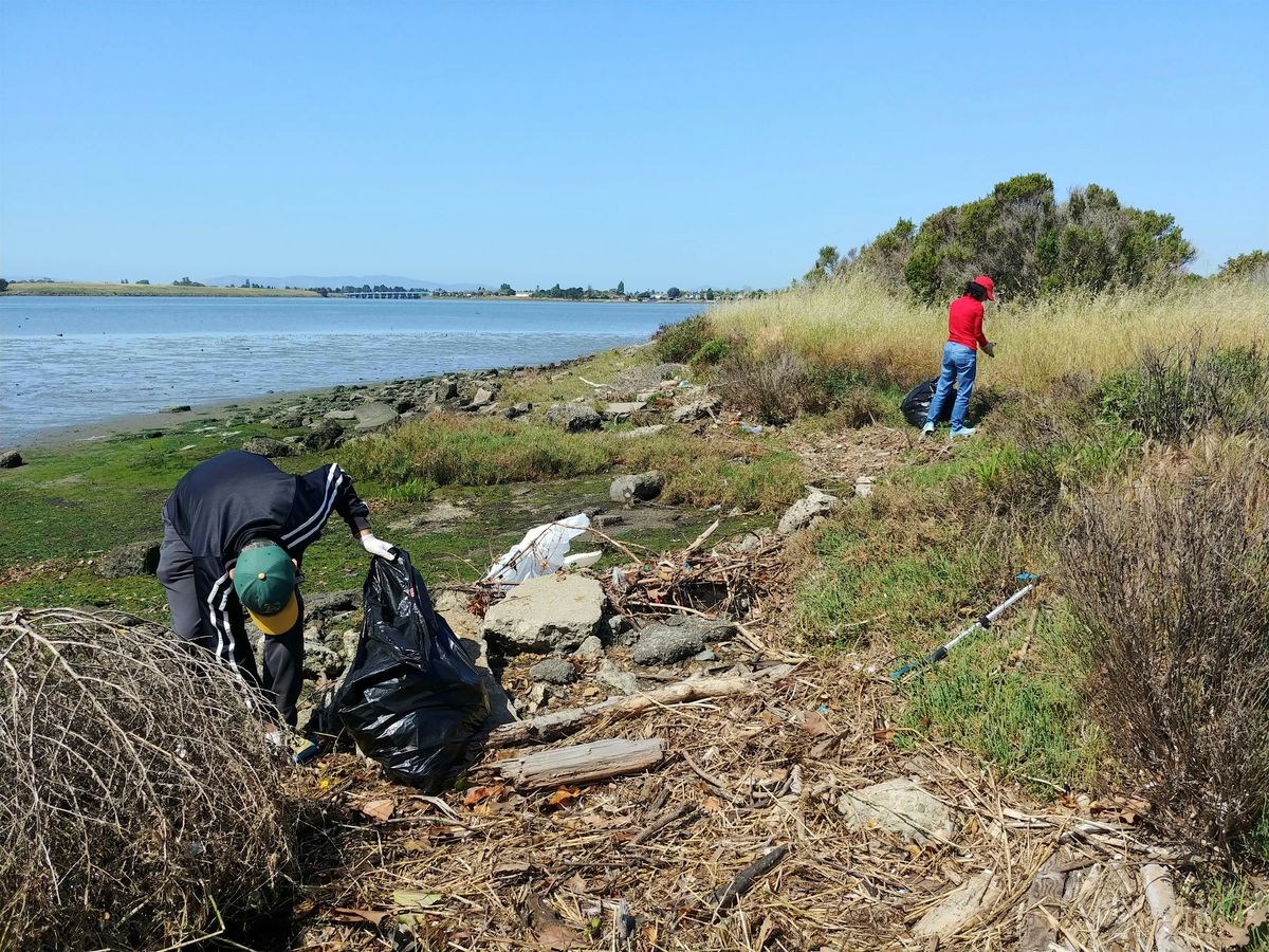 Monthly MLK Shoreline Cleanup